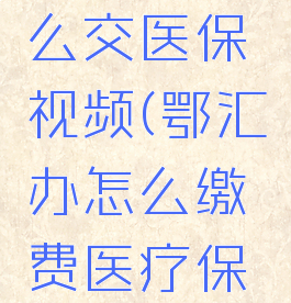 鄂汇办怎么交医保视频(鄂汇办怎么缴费医疗保险)