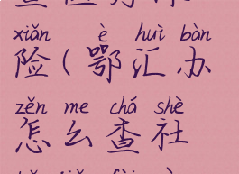 鄂汇办怎么查医疗保险(鄂汇办怎么查社保缴费信息)