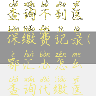 鄂汇办怎么查询不到医保缴费记录(鄂汇办怎么查询代缴医保缴费记录)