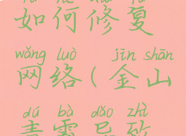 金山毒霸如何修复网络(金山毒霸导致无法上网)