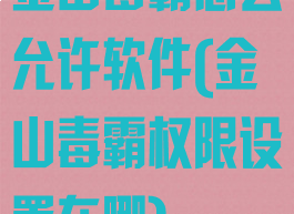 金山毒霸怎么允许软件(金山毒霸权限设置在哪)