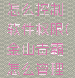 金山毒霸怎么控制软件权限(金山毒霸怎么管理软件权限)