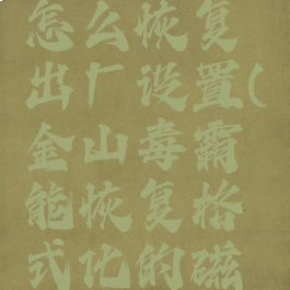 金山毒霸怎么恢复出厂设置(金山毒霸能恢复格式化的磁盘吗)