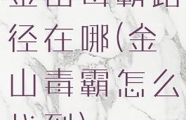 金山毒霸路径在哪(金山毒霸怎么找到)