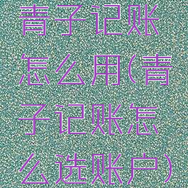 青子记账怎么用(青子记账怎么选账户)
