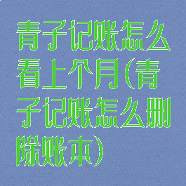 青子记账怎么看上个月(青子记账怎么删除账本)