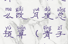 青子记账怎么改月度总预算(青子记账教程)