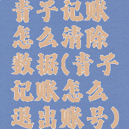 青子记账怎么清除数据(青子记账怎么退出账号)