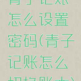 青子记账怎么设置密码(青子记账怎么切换账本)