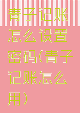 青子记账怎么设置密码(青子记账怎么用)