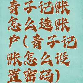 青子记账怎么选账户(青子记账怎么设置密码)