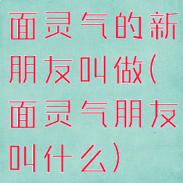 面灵气的新朋友叫做(面灵气朋友叫什么)