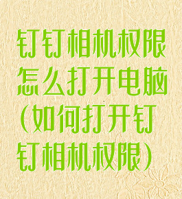 钉钉相机权限怎么打开电脑(如何打开钉钉相机权限)