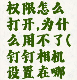 钉钉相机权限怎么打开,为什么用不了(钉钉相机设置在哪里)