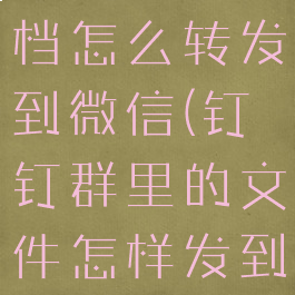 钉钉群的文档怎么转发到微信(钉钉群里的文件怎样发到微信群里)