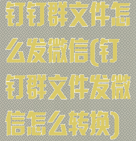 钉钉群文件怎么发微信(钉钉群文件发微信怎么转换)
