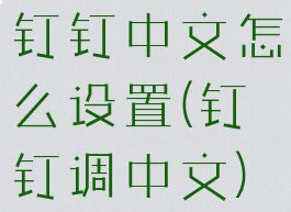 钉钉中文怎么设置(钉钉调中文)