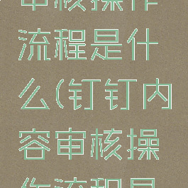 钉钉内容审核操作流程是什么(钉钉内容审核操作流程是什么意思)