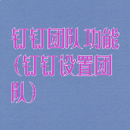 钉钉团队功能(钉钉设置团队)