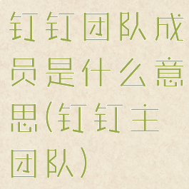 钉钉团队成员是什么意思(钉钉主团队)