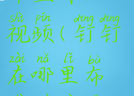 钉钉在哪里布置作业视频(钉钉在哪里布置作业视频文件)