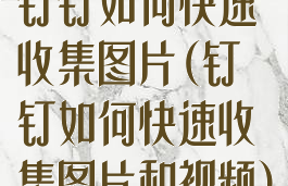钉钉如何快速收集图片(钉钉如何快速收集图片和视频)