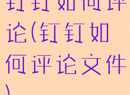 钉钉如何评论(钉钉如何评论文件)