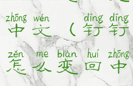 钉钉怎么变中文(钉钉怎么变回中文)