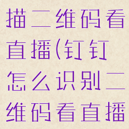 钉钉怎么扫描二维码看直播(钉钉怎么识别二维码看直播)