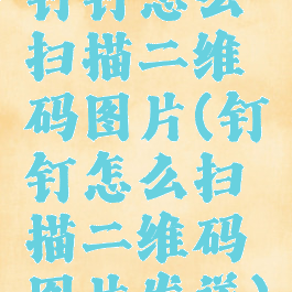 钉钉怎么扫描二维码图片(钉钉怎么扫描二维码图片发送)