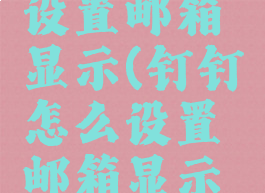 钉钉怎么设置邮箱显示(钉钉怎么设置邮箱显示手机号)