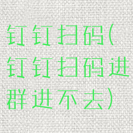 钉钉扫码(钉钉扫码进群进不去)