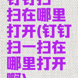 钉钉扫一扫在哪里打开(钉钉扫一扫在哪里打开啊)