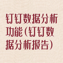 钉钉数据分析功能(钉钉数据分析报告)