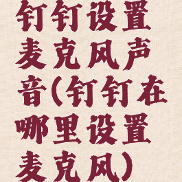 钉钉设置麦克风声音(钉钉在哪里设置麦克风)