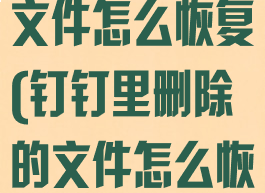 钉钉里删除的文件怎么恢复(钉钉里删除的文件怎么恢复啊)