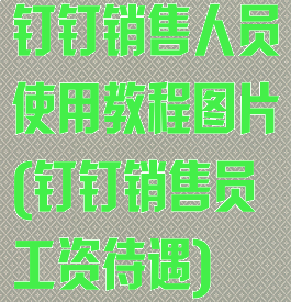 钉钉销售人员使用教程图片(钉钉销售员工资待遇)