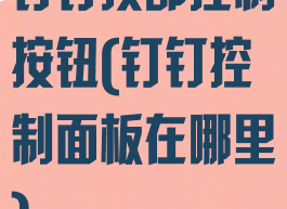 钉钉顶部控制按钮(钉钉控制面板在哪里)