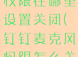 钉钉麦克风权限在哪里设置关闭(钉钉麦克风权限怎么关)