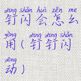 钉闪会怎么用(钉钉闪动)