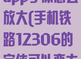 铁路12306app字体怎么放大(手机铁路12306的字体可以变大点吗)
