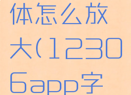 铁路12306app字体怎么放大(12306app字体大小设置)