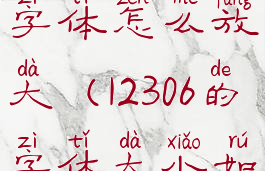 铁路12306app字体怎么放大(12306的字体大小如何调整)