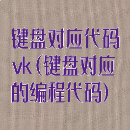 键盘对应代码vk(键盘对应的编程代码)