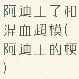 阿迪王子和混血超模(阿迪王的梗)