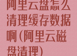 阿里云盘怎么清理缓存数据啊(阿里云磁盘清理)