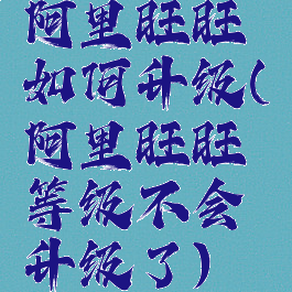 阿里旺旺如何升级(阿里旺旺等级不会升级了)