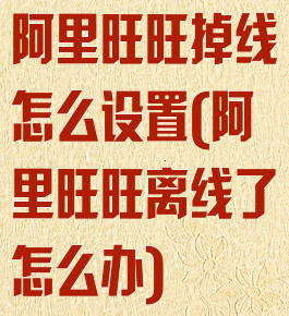 阿里旺旺掉线怎么设置(阿里旺旺离线了怎么办)