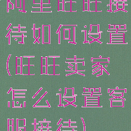 阿里旺旺接待如何设置(旺旺卖家怎么设置客服接待)