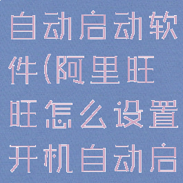 阿里旺旺怎么设置开机自动启动软件(阿里旺旺怎么设置开机自动启动软件功能)